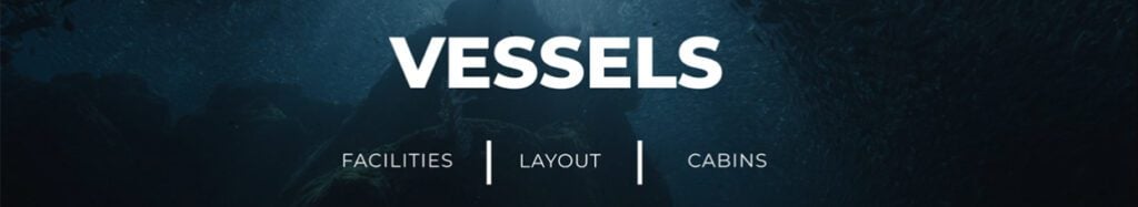 vessels