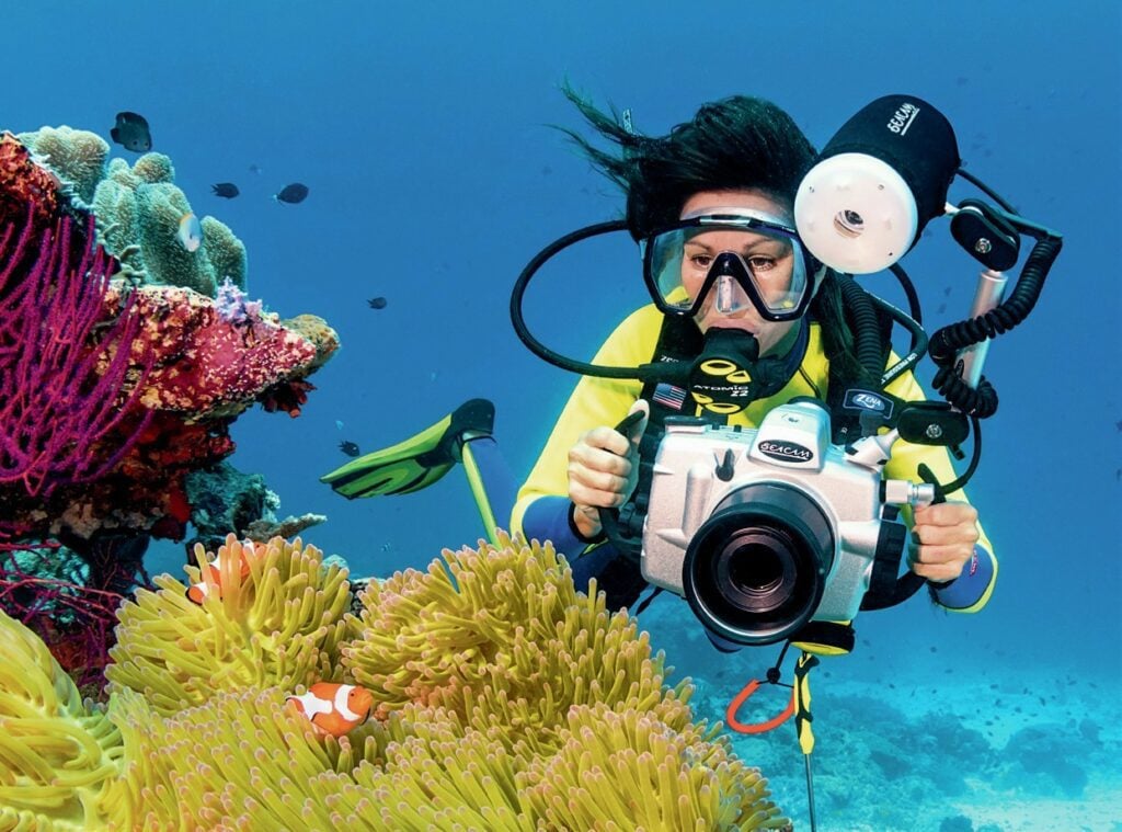 Anemonefish