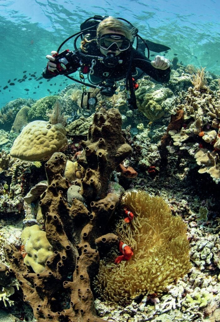 Dive into Siladen Island: A Mecca for Underwater Photographers 3 Anemonefish