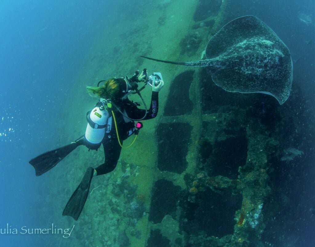 Giant Manta