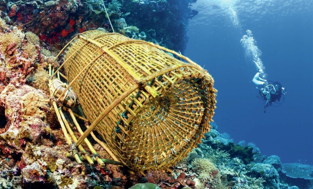 Woven fish traps set by the locals