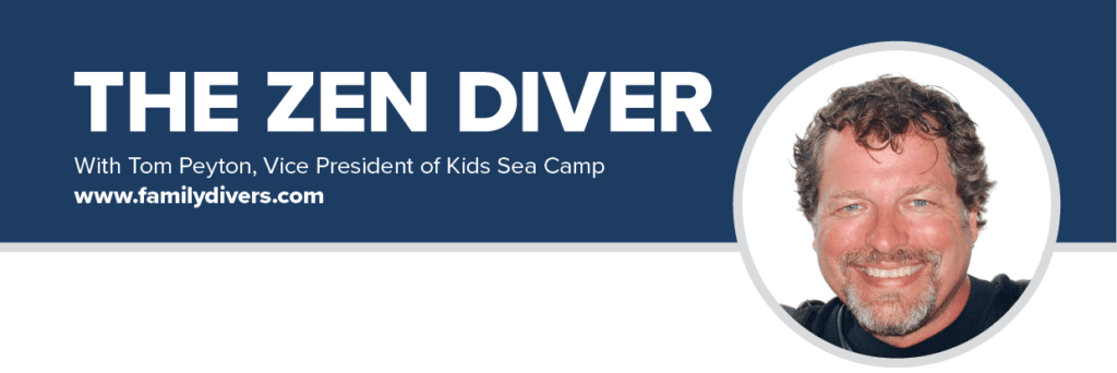 theZenDiver 1