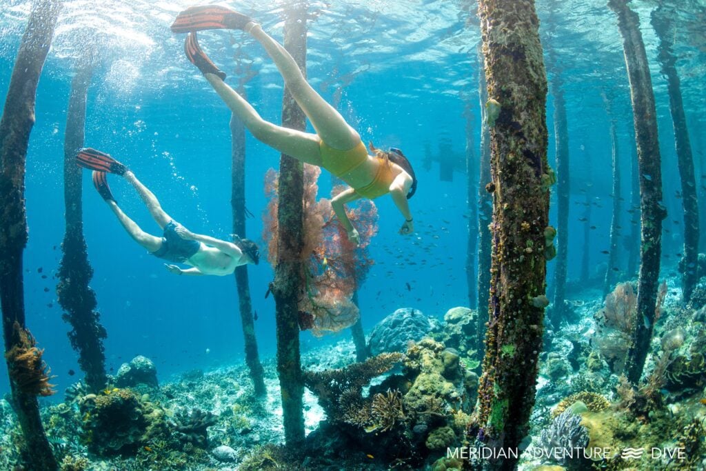 How To Snorkel 101 1 234 671A0787ACTIVITIES