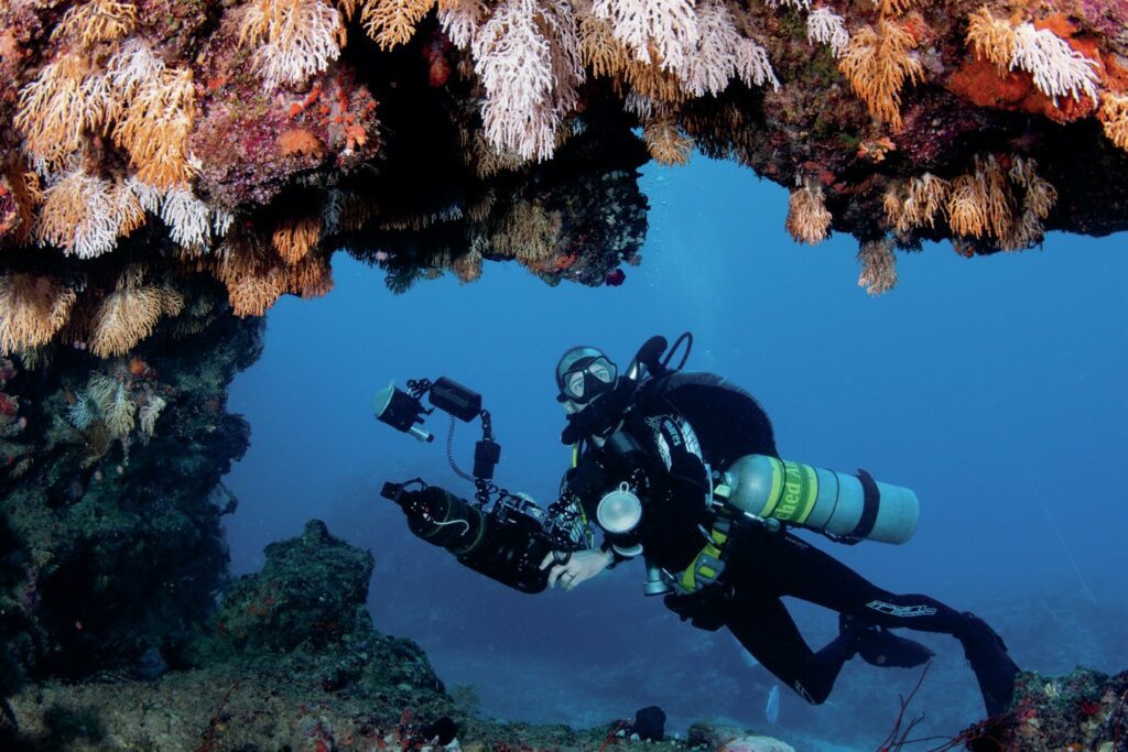Beqa Lagoon Fiji: Shark Diving and Coral Reef Adventures 9 Nicolas contemplates healthy corals in Beqa Lagoon