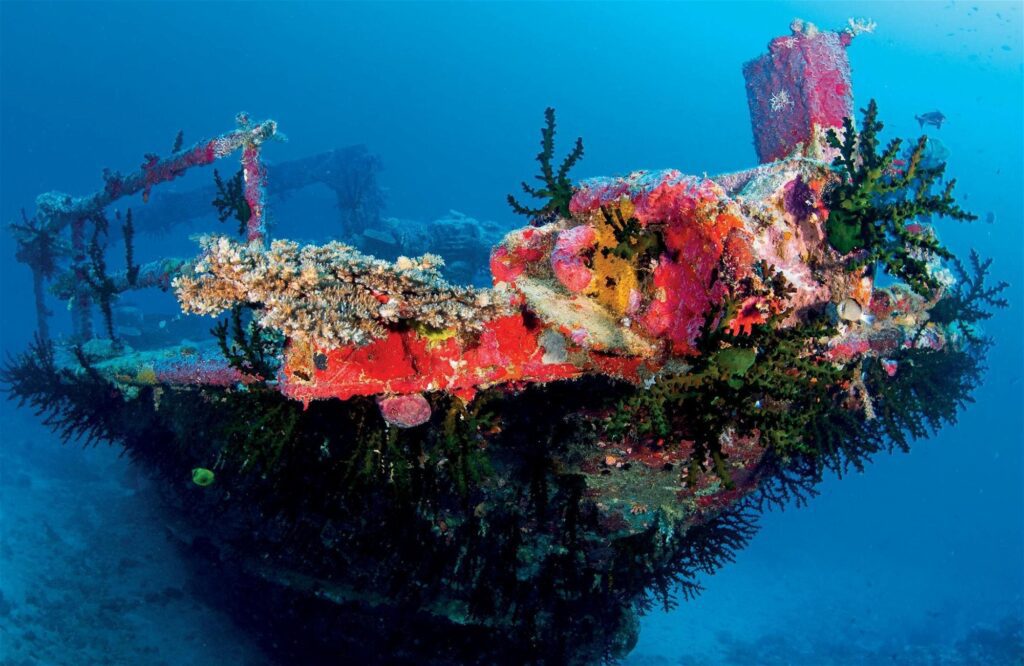 Beqa Lagoon Fiji: Shark Diving and Coral Reef Adventures 2 One of the wrecks at The Bistro