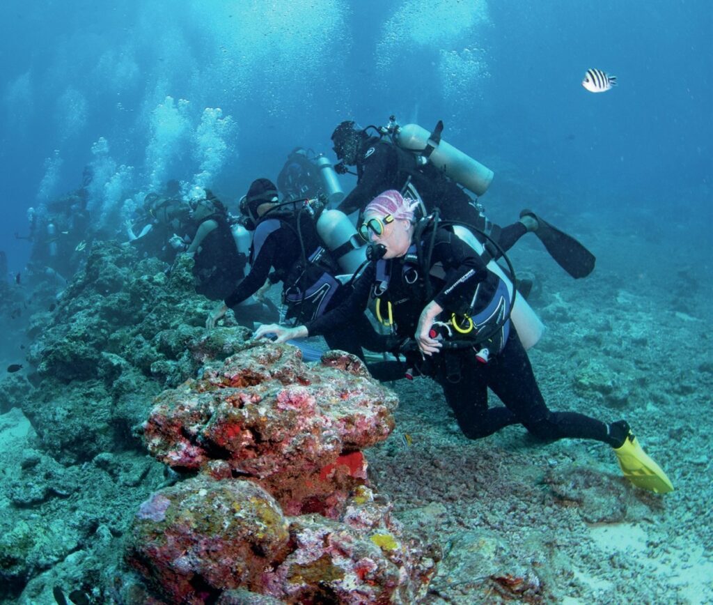 Beqa Lagoon Fiji: Shark Diving and Coral Reef Adventures 3 The coral wall from where guests watch the show
