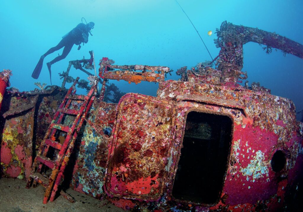 Beqa Lagoon Fiji: Shark Diving and Coral Reef Adventures 8 The wrecks are full of colour