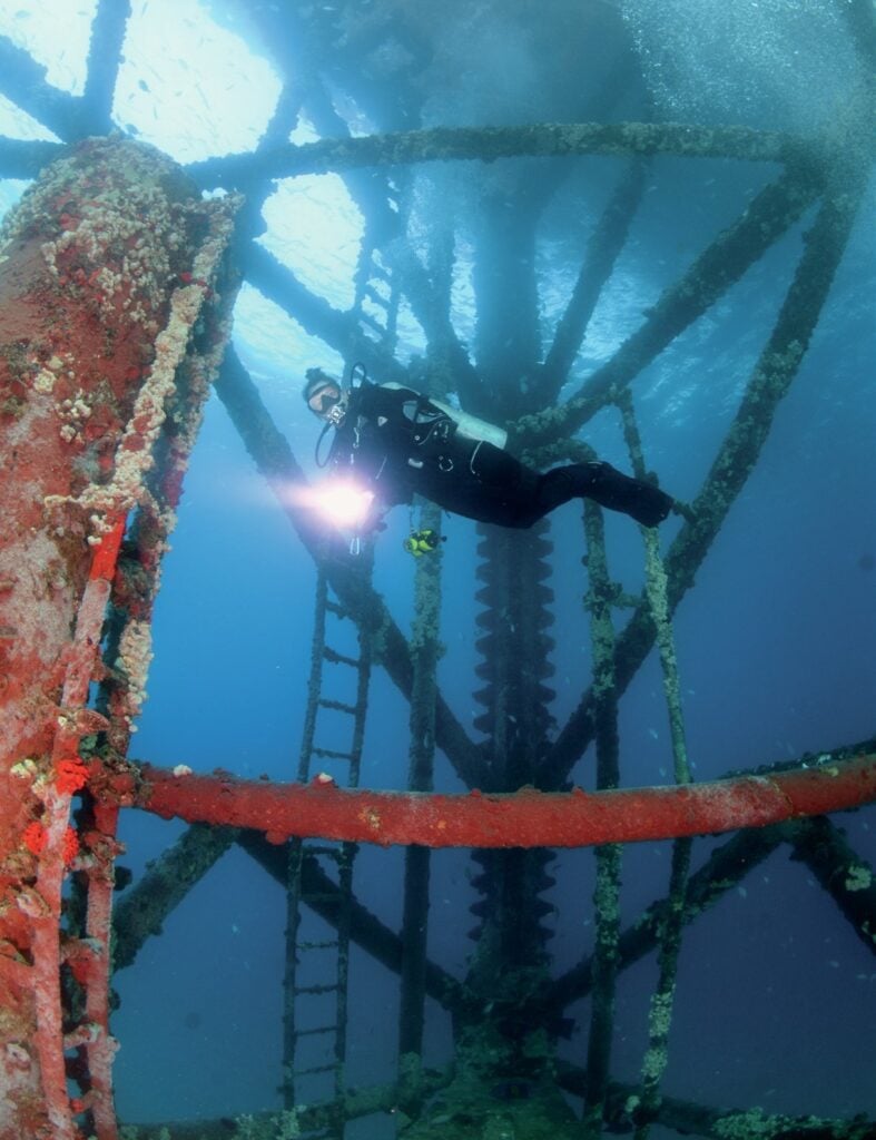 The Cape Clear's superstructure is caked in growth