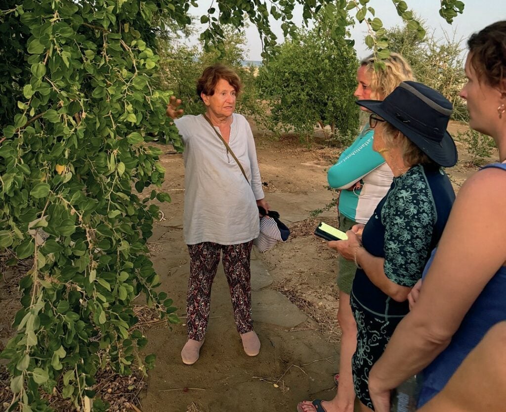 Guided tour of Wadi Sabarah Red Sea dive resort botanical garden led by Dr Irina Springuel