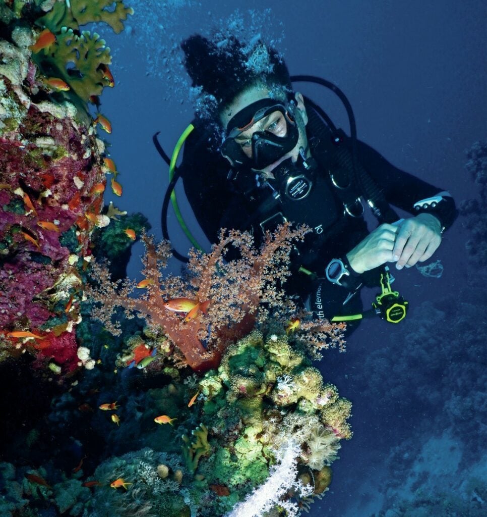 Luke admiring the soft corals