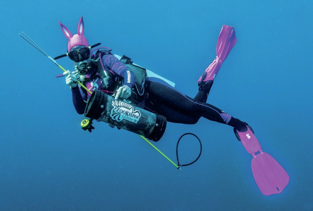 Scuba Diver Sarah Donohue Q & A: Diving, Stunts & Marine Conservation 2 Sarah Donohue hunting lionfish in the Caribbean