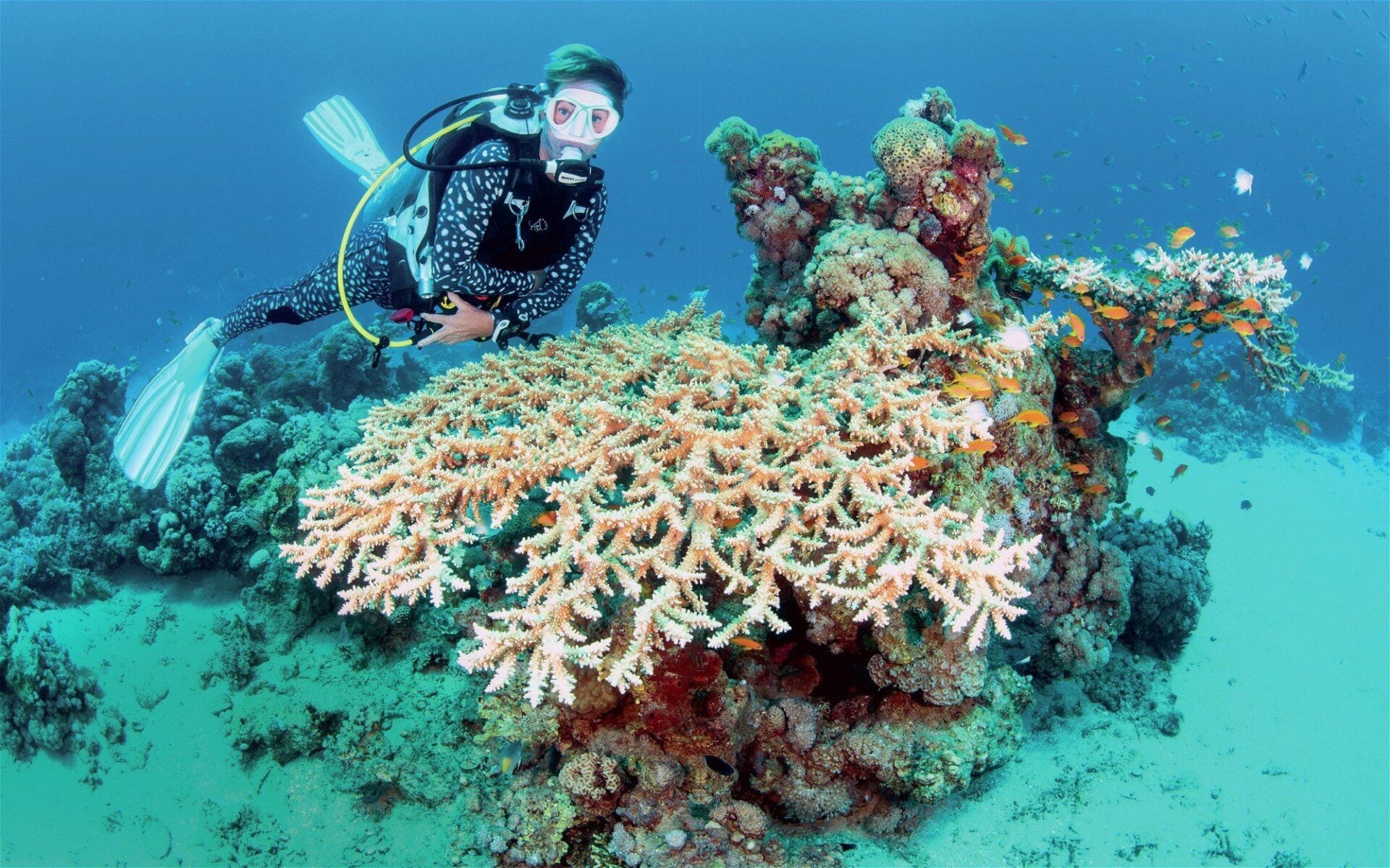 Scuba diver