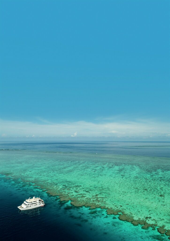 How to Dive the Great Barrier Reef: Best Sites & Regions 6 The remote reefs are stunning