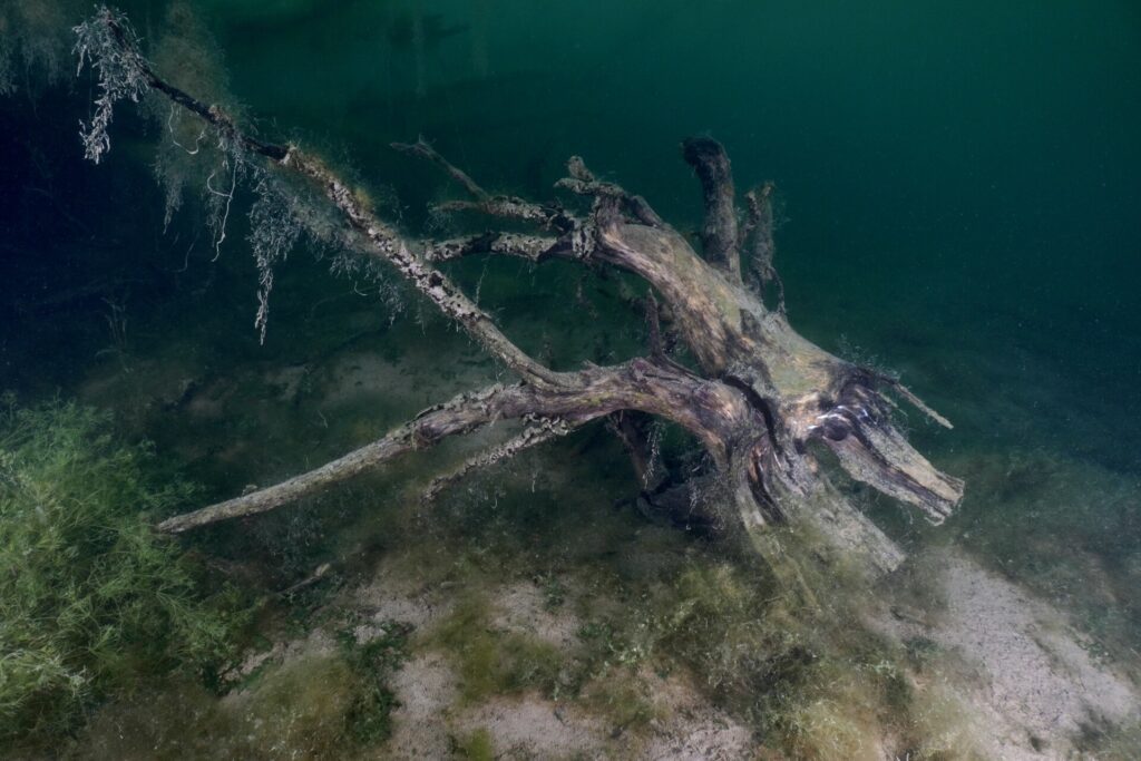 New inland dive site for Shropshire - Waters Edge 1 Waters Edge