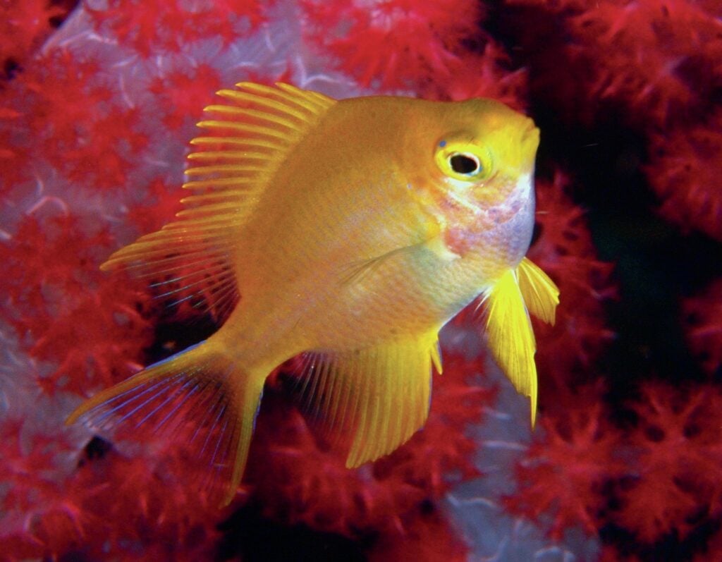 Even the fish are happy to pose!