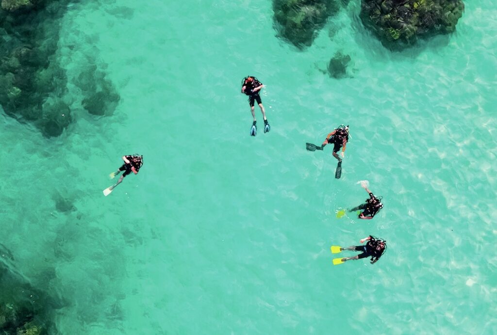 What is Inert Gas Washout in Diving? DAN Explains Decompression Sickness and Recovery 1 Inert Gas Washout - What's it all about?