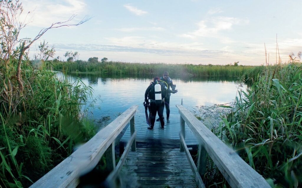South Australia Dive Guide: Leafies, Jetties, Cuttlefish & Great Whites 16 Ewens Ponds