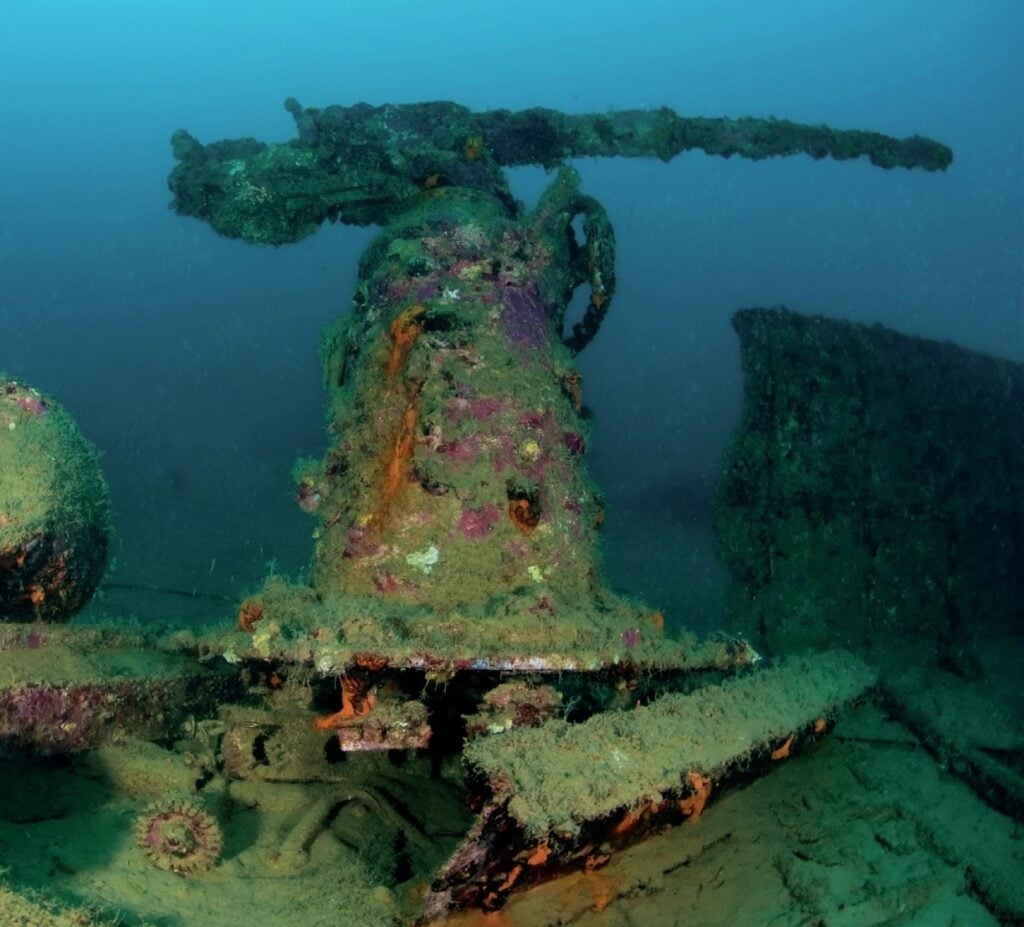 Gun turret remains on a WW2 PT boat wreck in Tufi fjord, Papua New Guinea