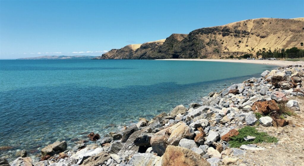 South Australia Dive Guide: Leafies, Jetties, Cuttlefish & Great Whites 3 Rapid Bay