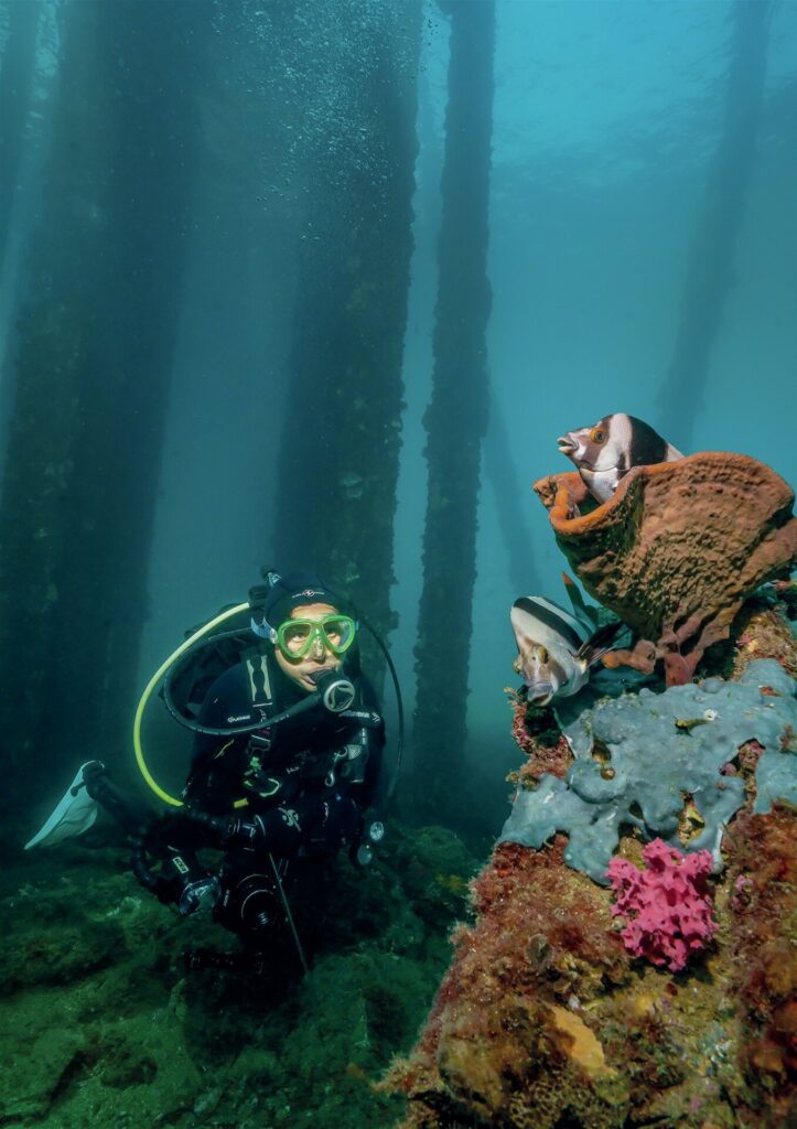 South Australia Dive Guide: Leafies, Jetties, Cuttlefish & Great Whites 4 Rapid Bay Jetty
