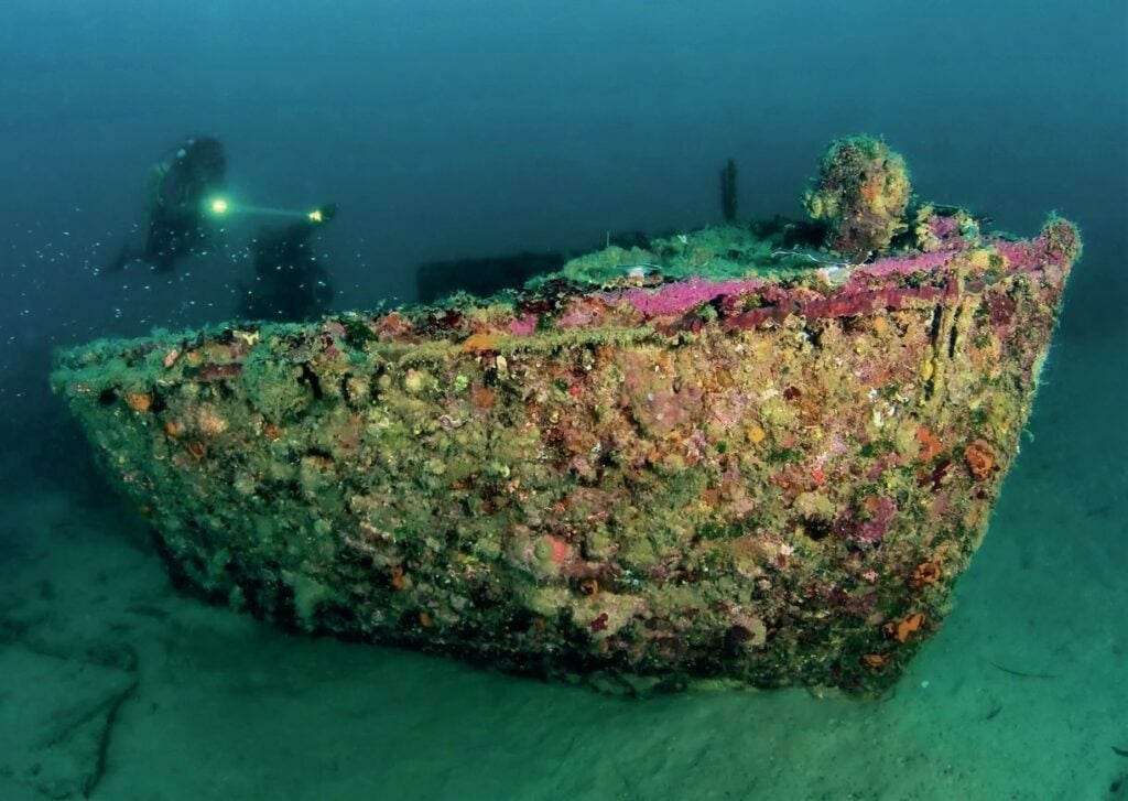 WW2 PT boat wreck covered in marine growth in Tufi fjord, Papua New Guinea
