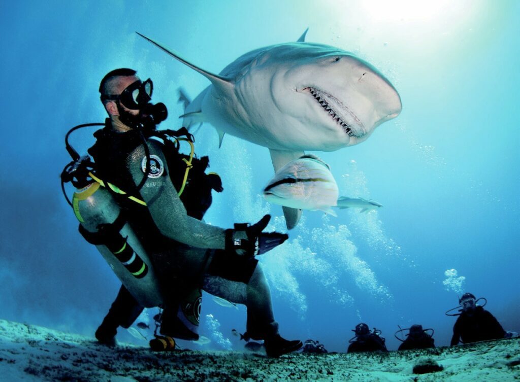 Malcolm Nobbs: Diving Adventures and Underwater Photography Expert 1 Malcolm Nobbs