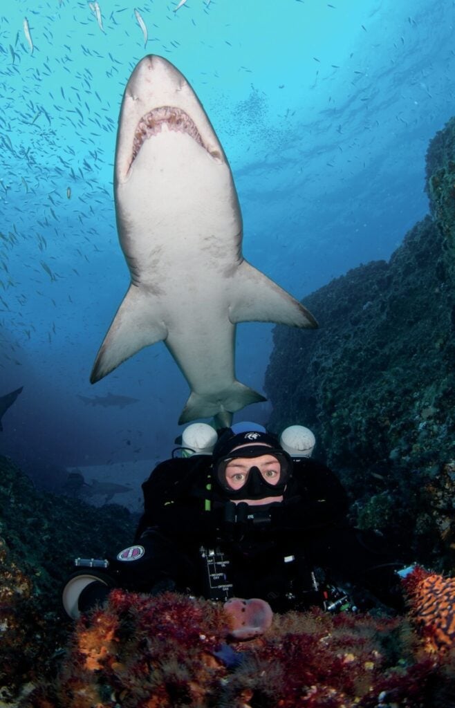 Diving at South West Rocks.... He's Behind You!