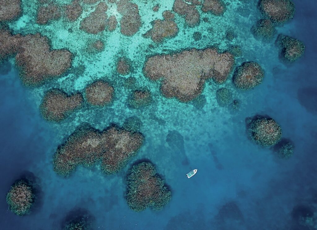 Diving into Discovery: Life as an Our World-Underwater Scholarship Society Scholar 3 Aerial view of a coral reef system