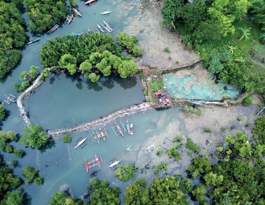 Diving into Discovery: Life as an Our World-Underwater Scholarship Society Scholar 7 Aerial view of the mangroves