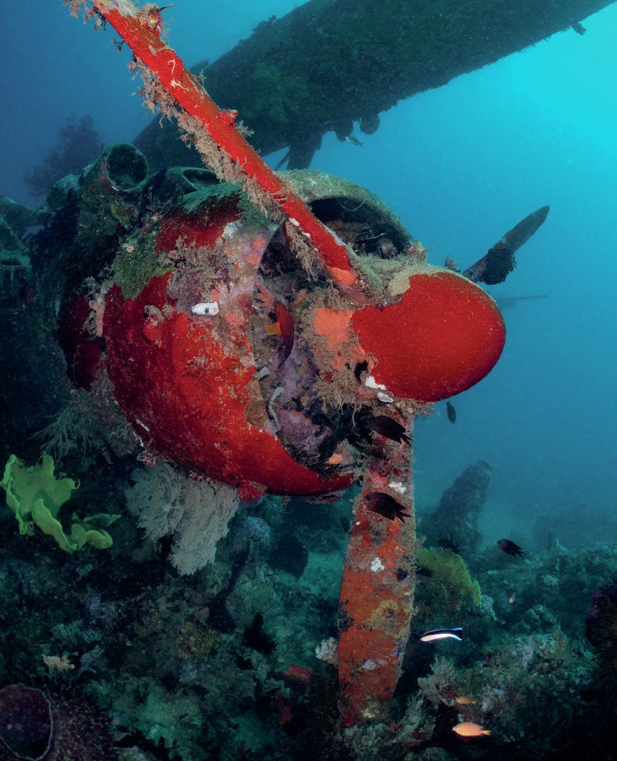 Jake Seaplane at Linden Harbor

