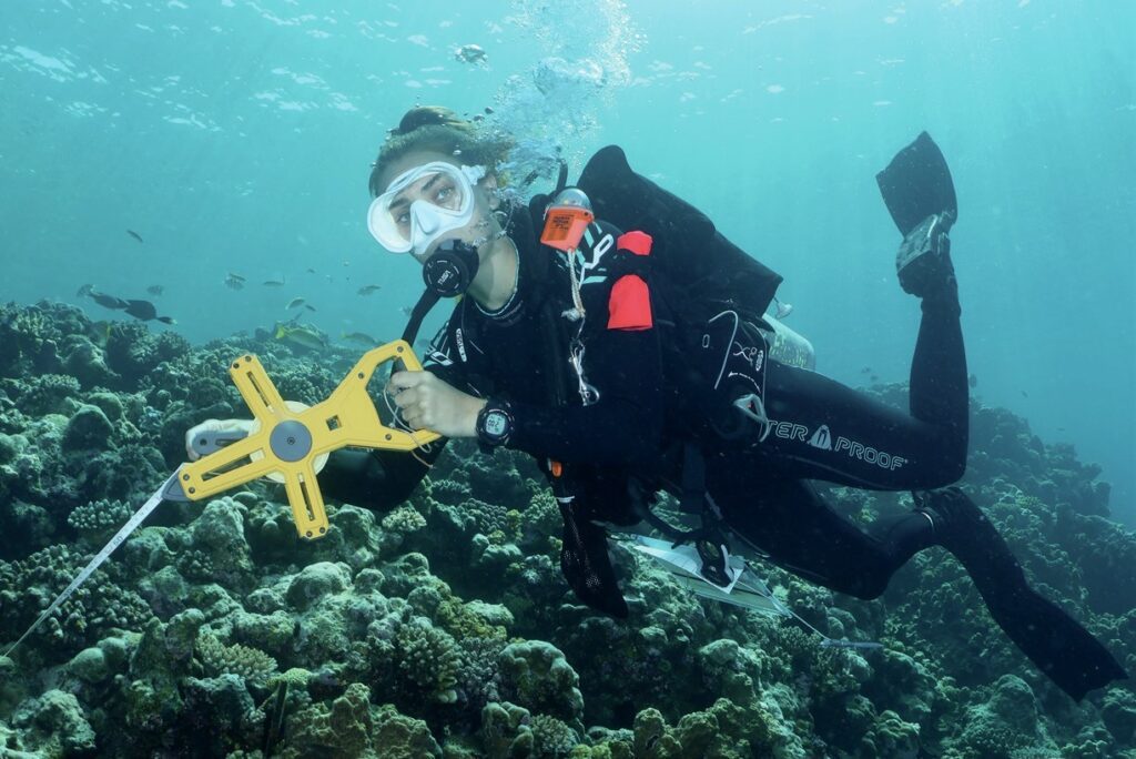 Diving into Discovery: Life as an Our World-Underwater Scholarship Society Scholar 5 Sophie busy reef mapping