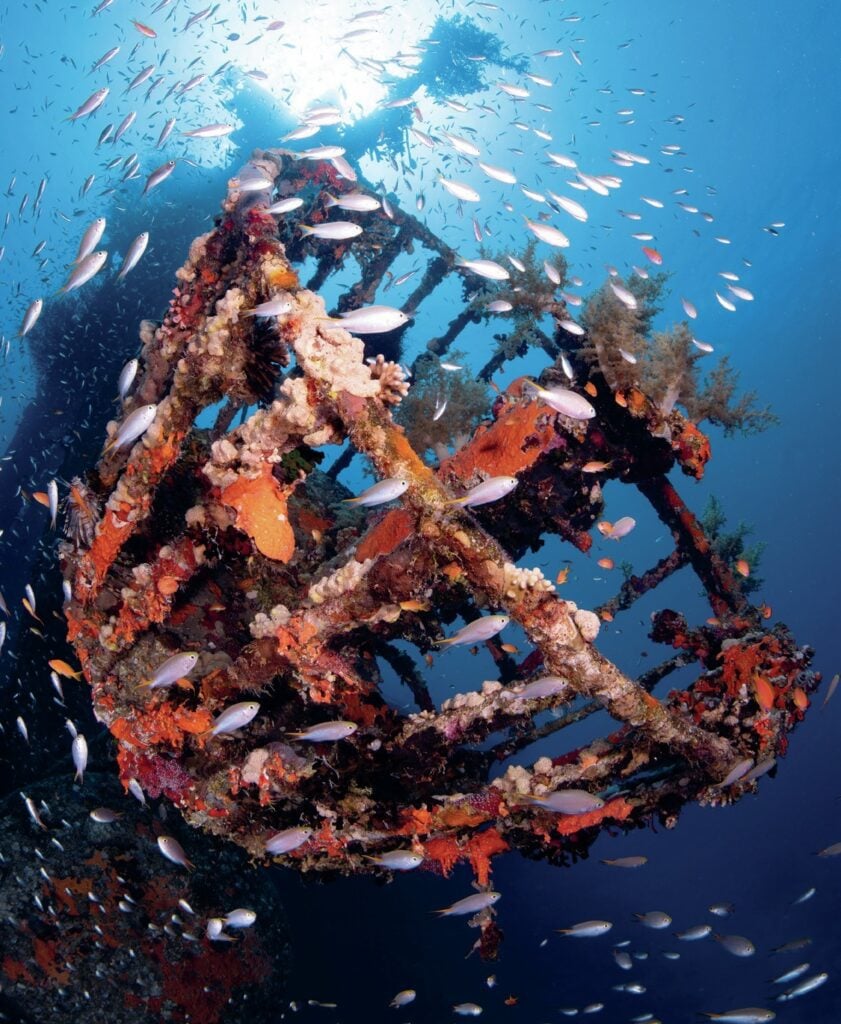 Scuba Diving in Jordan: Aqaba Wrecks, Underwater Museum & Adventures to Petra 3 The crow’s nest on the Cedar Pride is a magnet for marine life
